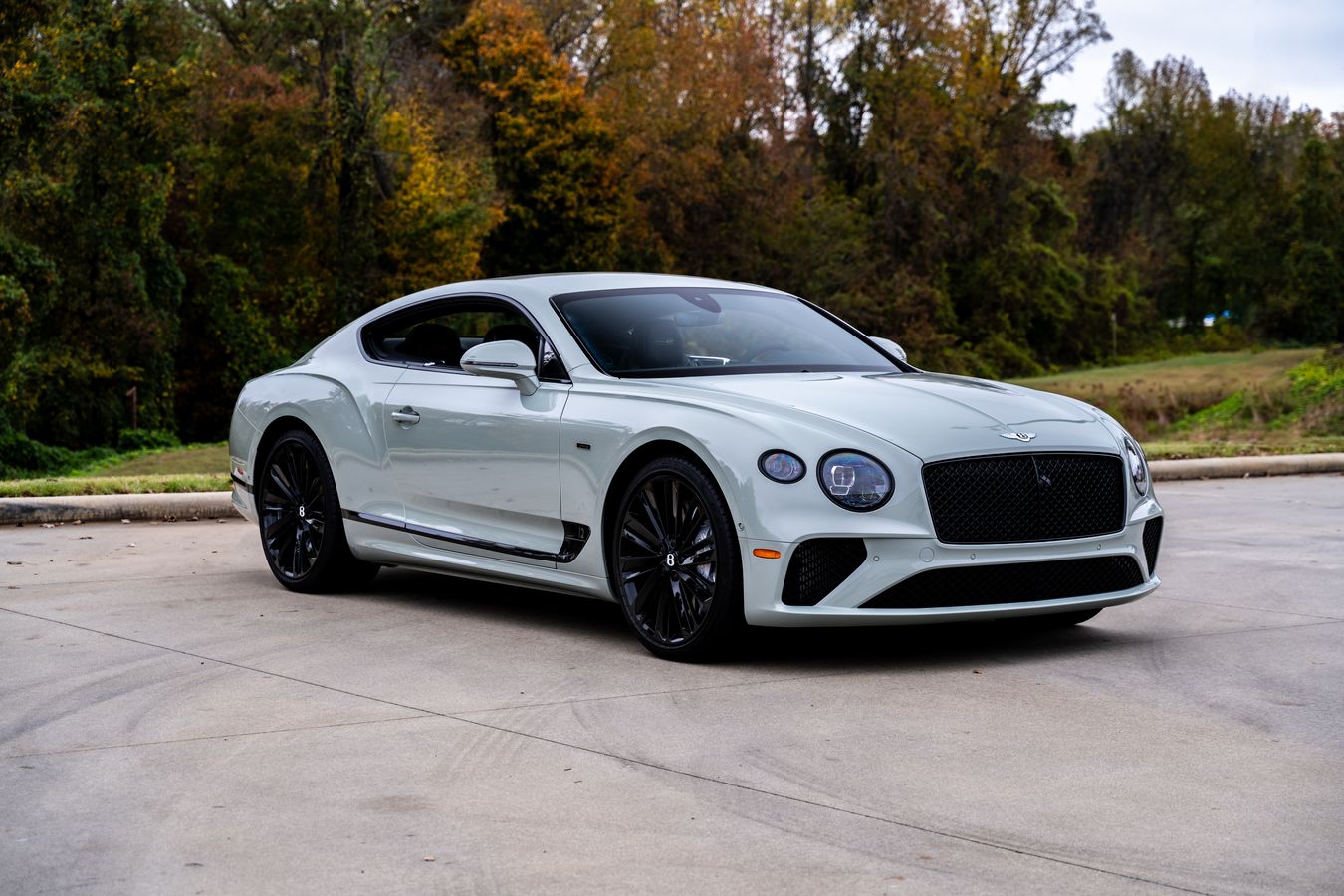 Bentley_005 Cory Johns.jpg